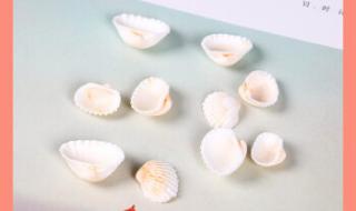 小白香薰机 小白香薰机